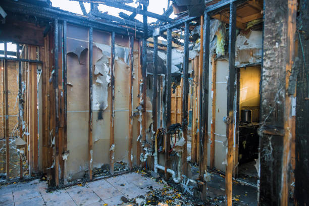 Professional Smoke Damage Removal technician working in Telford, PA